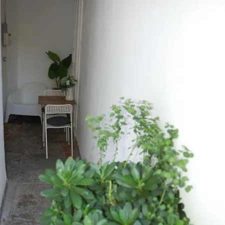 Apartment Gem In The City's Heart