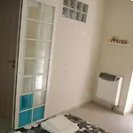 Apartment Gem In The City's Heart Turin